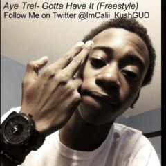 Aye Trel-Gotta Have It (Freestyle)