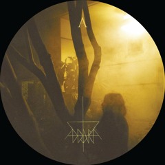 City Light (in still Dark forenoon silence)