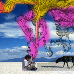 bachillerato con orientacion en belleza interna