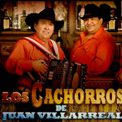 Los Cachorros de Juan Villarreal corridos mix