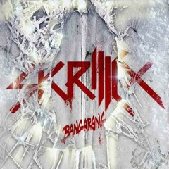 Skrillex-Right on time(Xtra Testosterone Remix)
