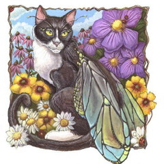 Chatte Neuve - Touch my body