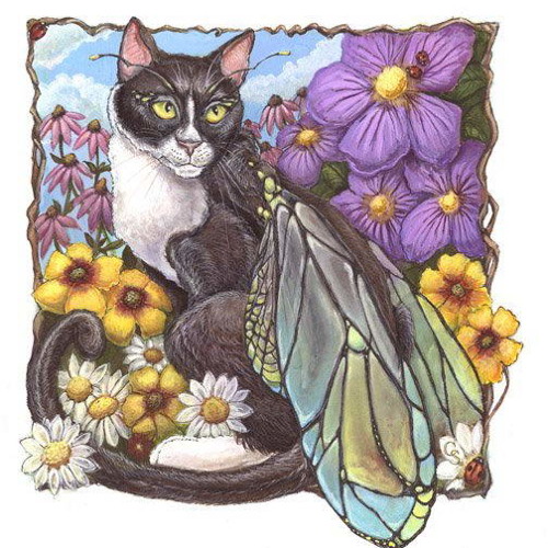 Chatte Neuve - Touch my body