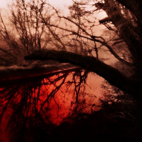 In Your Blood