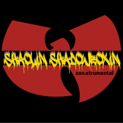 Shaolin Shadowboxin - son:strumental - produced by Son Of Thought
