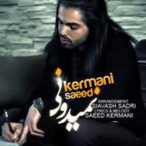 Saeed Kermani Nemidooni