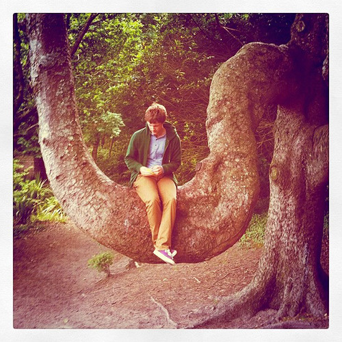 Ifan Dafydd - Treehouse