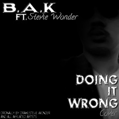 Doing It Wrong (Cover)-B.A.K & Stevie Wonder