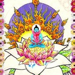 O  .u & WrongRobot - Stas Loco Oe [155]