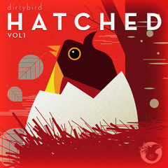 Sacha Robotti :: "THE MAJOR" - Dirtybird