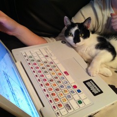 Bumper - January Mix