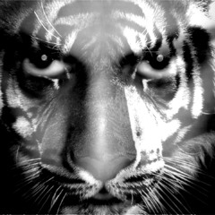 Orientation by Sufist - aka Shamir Ali-Khan - Album "Sufist" www.sufist.de