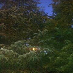 Woof Dub Style!!!!! Spanish Voice