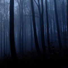 Pissoir - Treescape (Night)