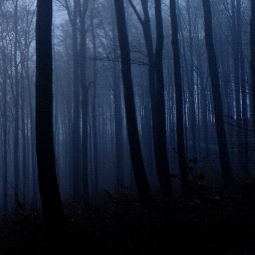Pissoir - Treescape (Night)