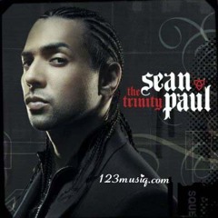 Sean Paul feat Snoop Dogg   If i Can't