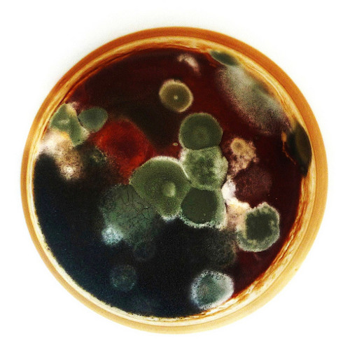 'Part of Something' feat. Jeff Dexter