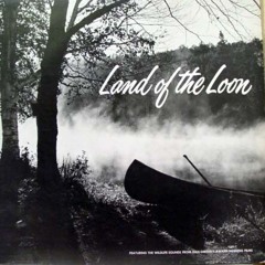 dan gibson - land of the loon (SIDE A)