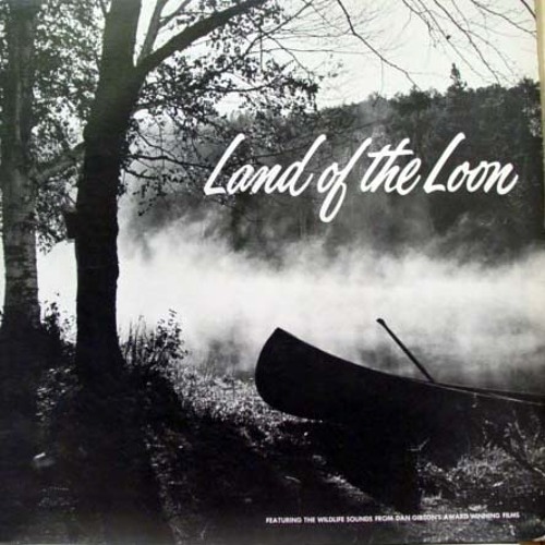 dan gibson - land of the loon (SIDE A)