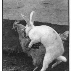 Enjoy your monkey (feat. Le Jeune)