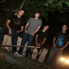 Racing the Messenger-The Birds