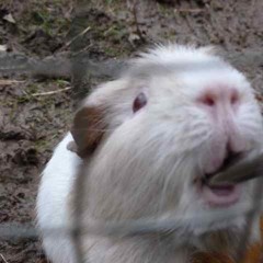 Chase The Dots - Kutiman Vs. Roots Manuva feat. Chali 2na (Rich Watts Mash-Up)