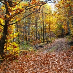 B-boy 5nap - Bovas - Nascidos Entre as Folhas Soltas beat