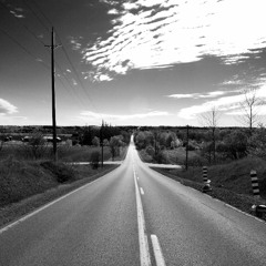 Morgan Page & Lissie - The Longest Road (Evidence & Rekka Rerub)