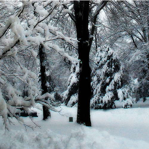 Breezewax - Footsteps In The Snow