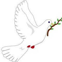 Kabar Myay A Twat - FiveTravellers