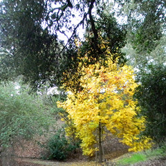 Close Your Eyes (unofficial)