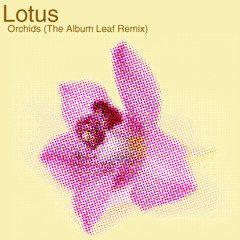 Orchids (Album Leaf Remix)
