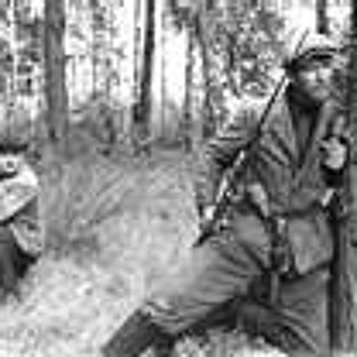 The partisan