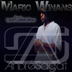 Mario Winans - I dont wanna know (AS Remix)