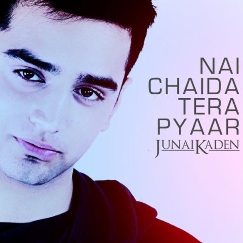nai chaida tera pyaar junai kaden mp3