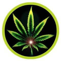 WATCH THIS VIP MP3 FREE DOWNLOAD