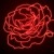 Artwork for "Neon Rose"