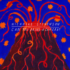 Nicholas Stevenson - Can You Bring A Camera?