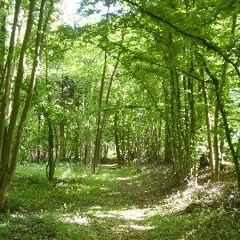381 - KaUpRoD [Made In Picardie]
