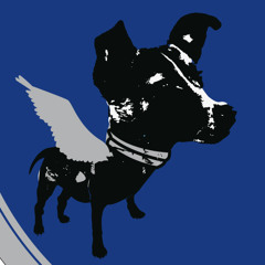 B1 - Fabian Reichelt - Berlin For Me (Polar003)