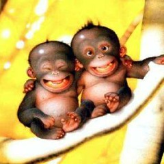 05 Number One Retard (NEW - 13-01-12)