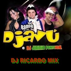 DJ RICARDO MIX BANDA DJAVU