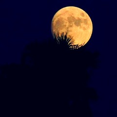 2. MAGALLAH HIGH ( FT.Mc Demas) Nocturna Invasion(Prod.shoka)