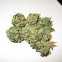 loud ft money stokes_ yung haze