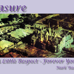 Erasure - A Little Respect - Forever Young Remix - Mark Rasure Robotham