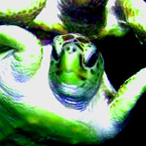 The Shiny Side of Purple - The Luni Troupe - 3 Degrees of Bipedia