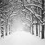 Artwork for Winter 12