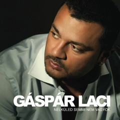 Gáspár LAci - Fülledt Forró Nyár (Dj Gem-B and Cafe City Official Album Remix)
