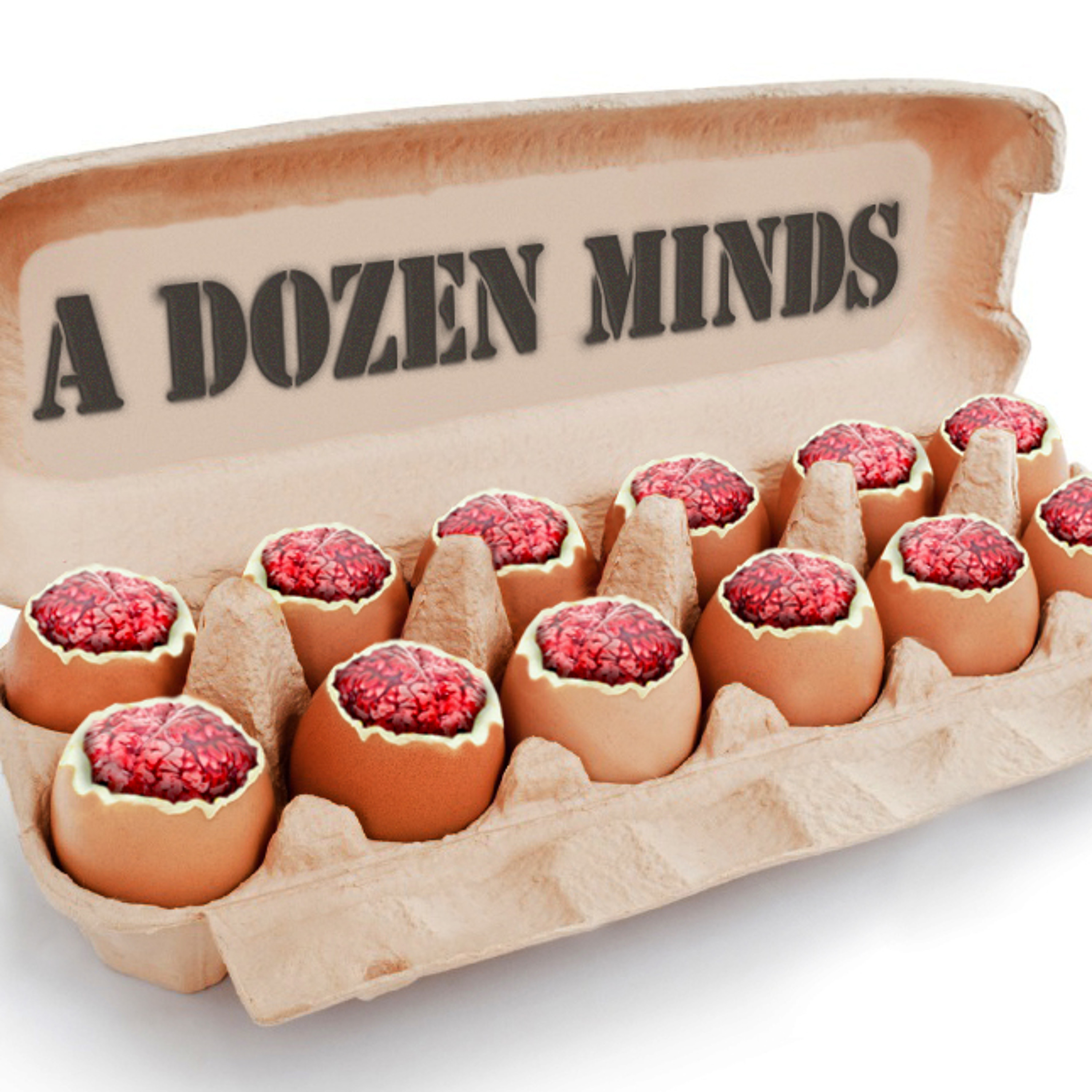 A Dozen Minds episode artwork
