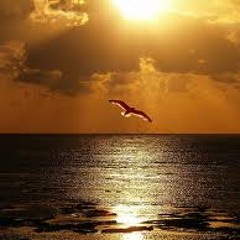 Manuel de la Torre and Angel Alcocer- For You Dance (original mix)